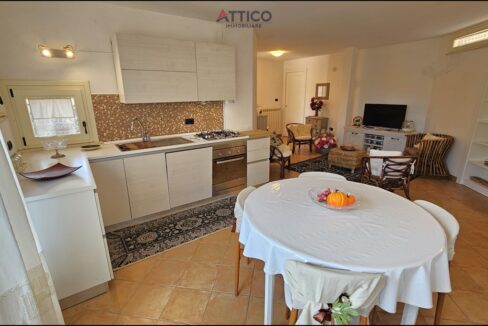 43